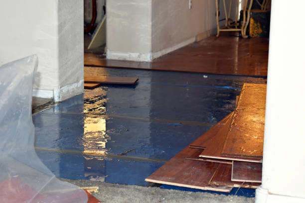 Professional Flood Cleanup technician working in Bellevue, WA